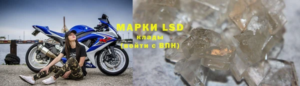 PSILOCYBIN Бронницы