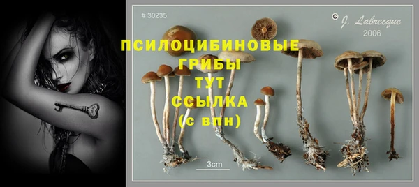 трава Богородицк