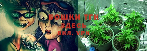 стаф Вязники