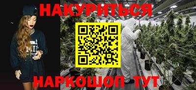 прущий лед Бийск